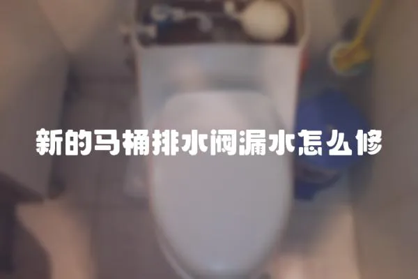 新的馬桶排水閥漏水怎么修