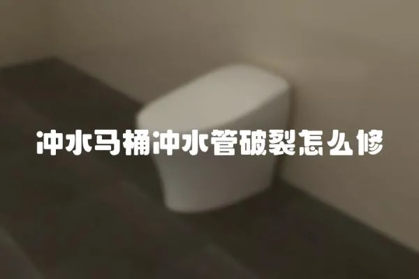 冲水马桶冲水管破裂怎么修