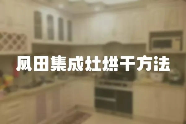 風田集成灶烘干方法