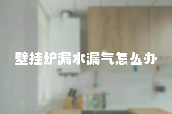 壁掛爐漏水漏氣怎么辦