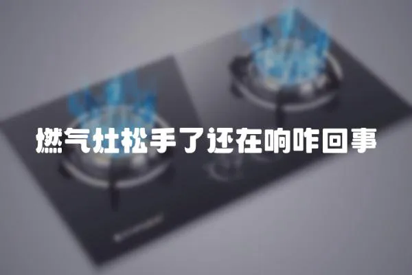 燃气灶松手了还在响咋回事