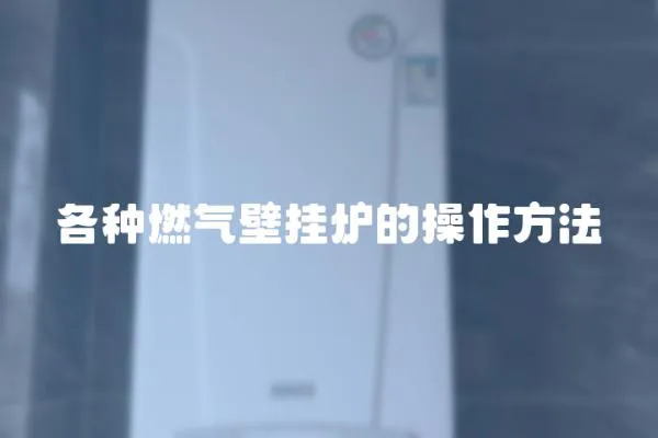 各種燃氣壁掛爐的操作方法