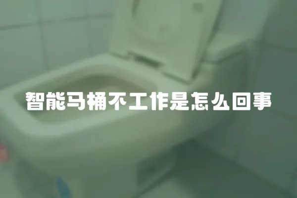 智能马桶不工作是怎么回事