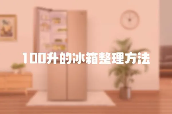100升的冰箱整理方法