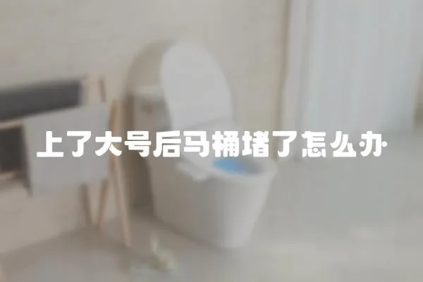 上了大號后馬桶堵了怎么辦