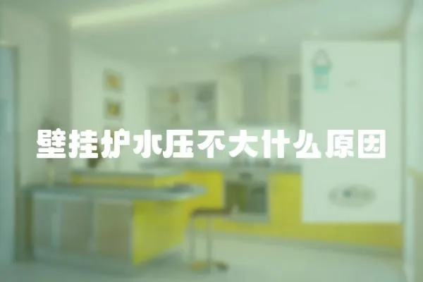 壁掛爐水壓不大什么原因