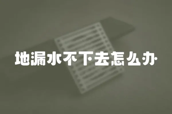 地漏水不下去怎么辦