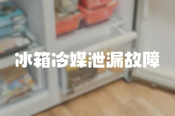 冰箱冷媒泄漏故障