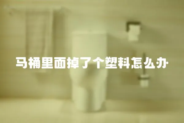 馬桶里面掉了個塑料怎么辦