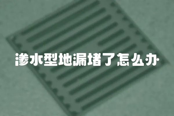 滲水型地漏堵了怎么辦