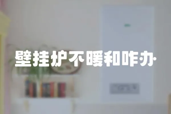 壁掛爐不暖和咋辦