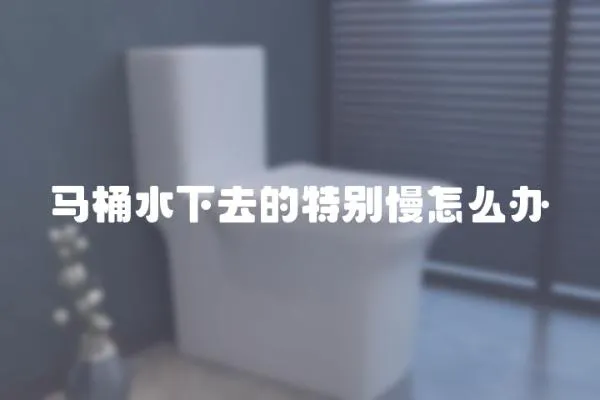 馬桶水下去的特別慢怎么辦
