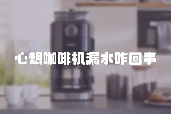 心想咖啡機漏水咋回事