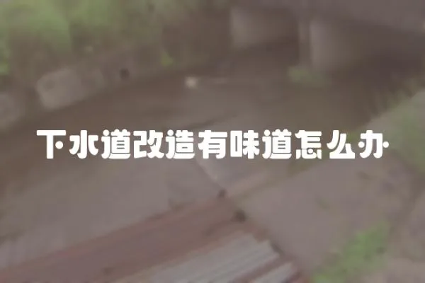 下水道改造有味道怎么辦