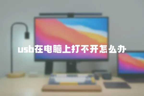 usb在電腦上打不開怎么辦