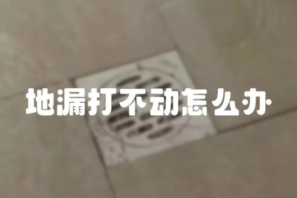地漏打不動怎么辦