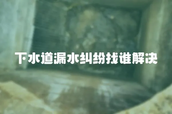 下水道漏水糾紛找誰解決