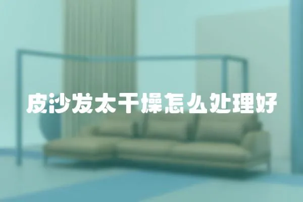 皮沙發太干燥怎么處理好