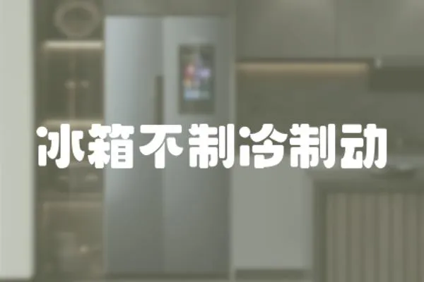 冰箱不制冷制動