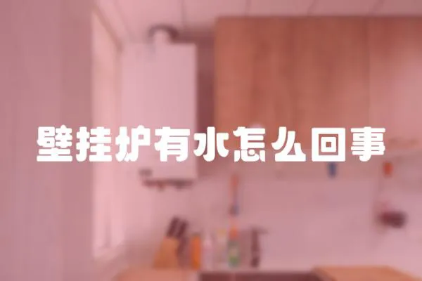 壁掛爐有水怎么回事