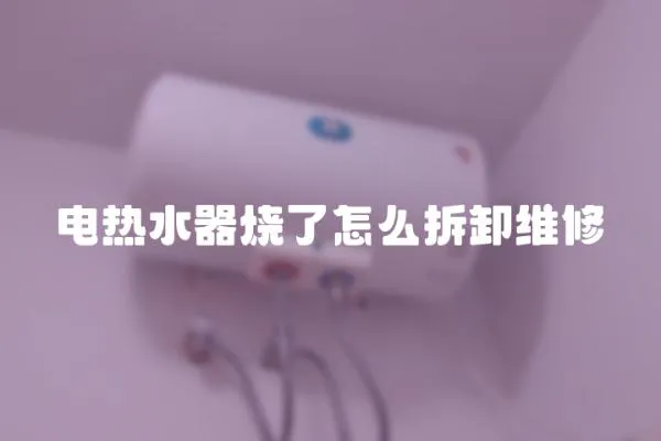 電熱水器燒了怎么拆卸維修