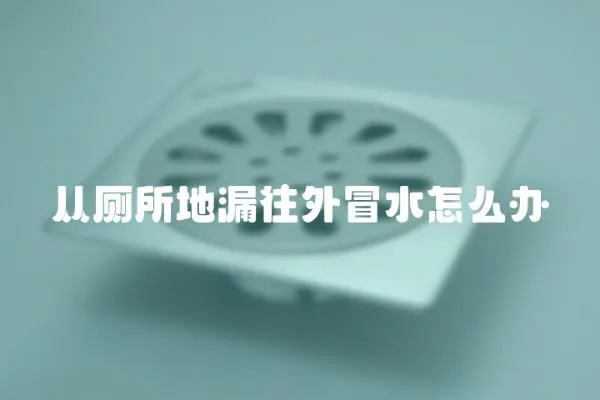 從廁所地漏往外冒水怎么辦