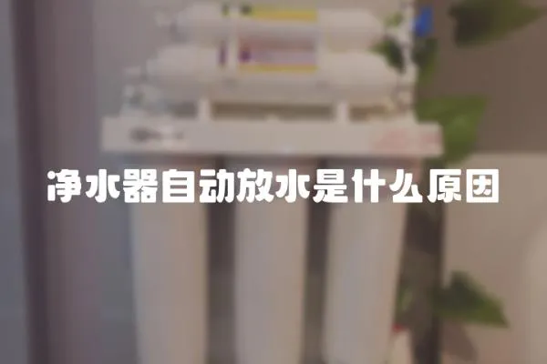 凈水器自動(dòng)放水是什么原因