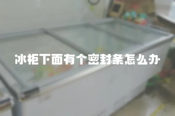 冰柜下面有個密封條怎么辦