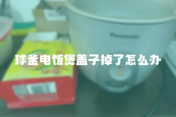 球釜電飯煲蓋子掉了怎么辦
