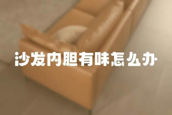 沙發內膽有味怎么辦