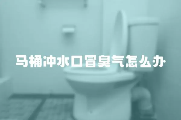 馬桶沖水口冒臭氣怎么辦