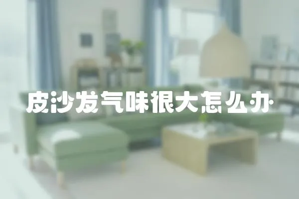 皮沙發(fā)氣味很大怎么辦