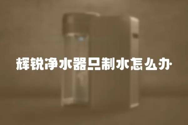 輝銳凈水器只制水怎么辦