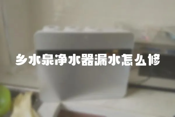 鄉水泉凈水器漏水怎么修