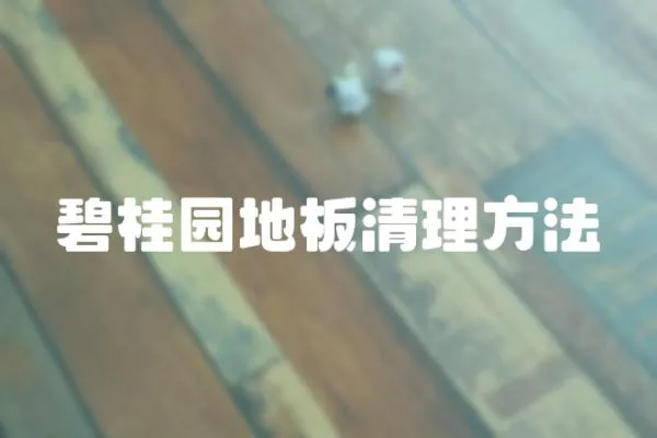 碧桂園地板清理方法