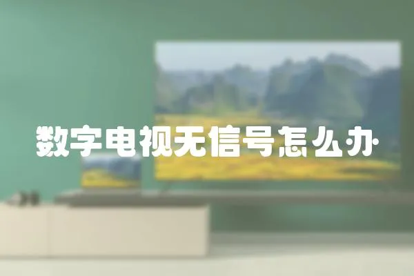 數(shù)字電視無信號怎么辦