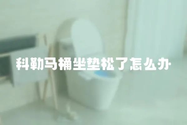 科勒馬桶坐墊松了怎么辦