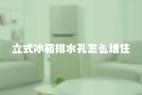 立式冰箱排水孔怎么堵住