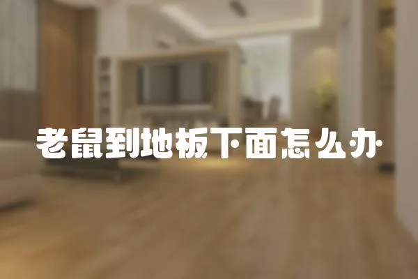 老鼠到地板下面怎么辦