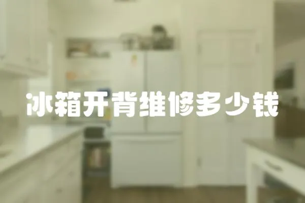 冰箱開背維修多少錢