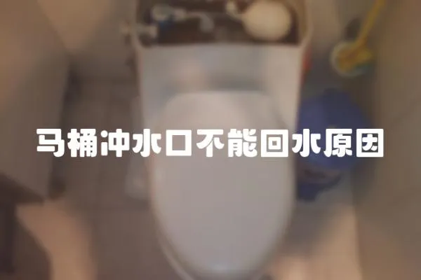 馬桶沖水口不能回水原因