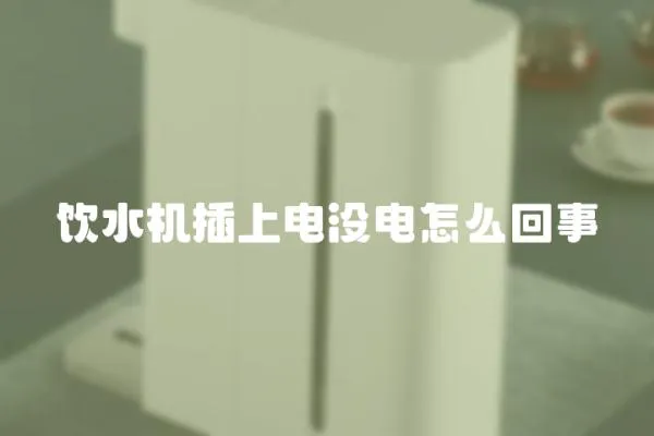 飲水機插上電沒電怎么回事