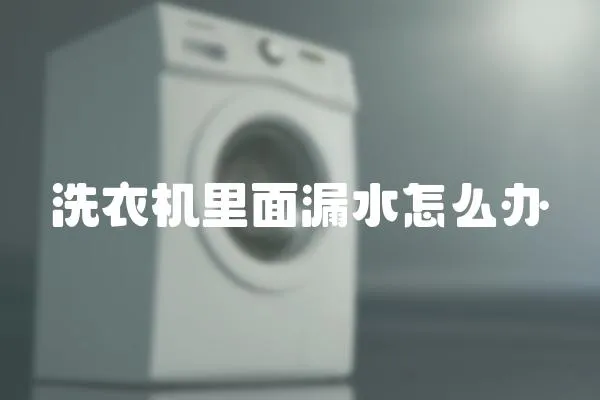 洗衣機里面漏水怎么辦