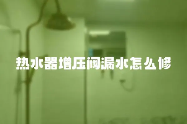 熱水器增壓閥漏水怎么修