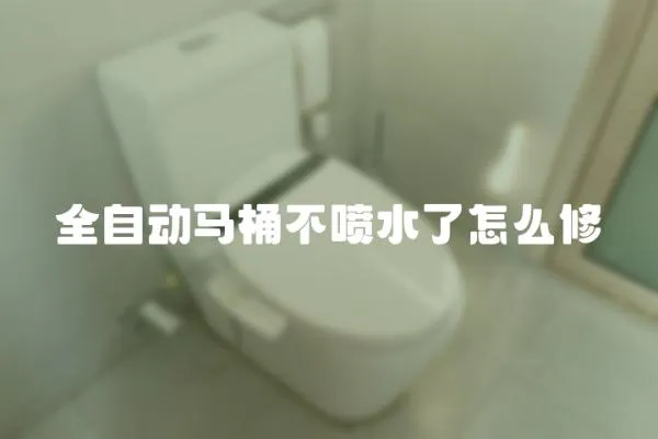 全自動(dòng)馬桶不噴水了怎么修