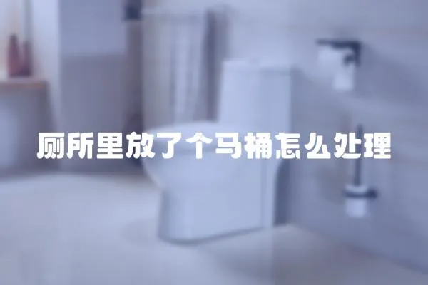 廁所里放了個馬桶怎么處理