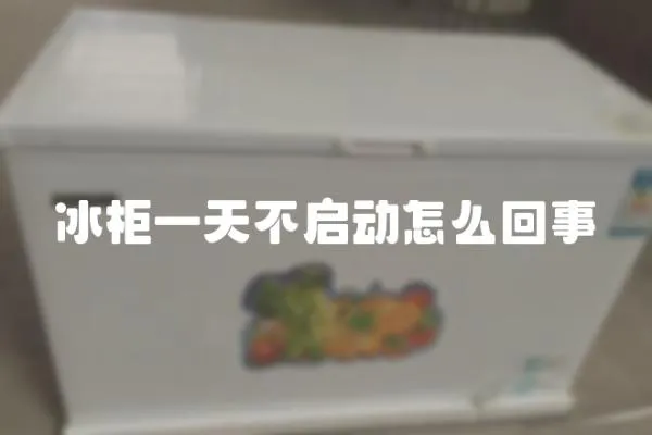 冰柜一天不啟動怎么回事