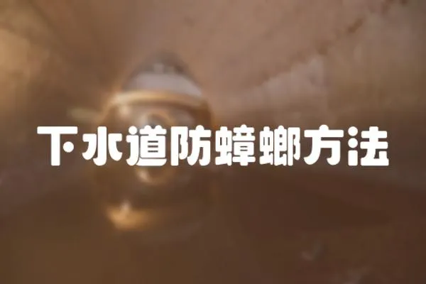 下水道防蟑螂方法