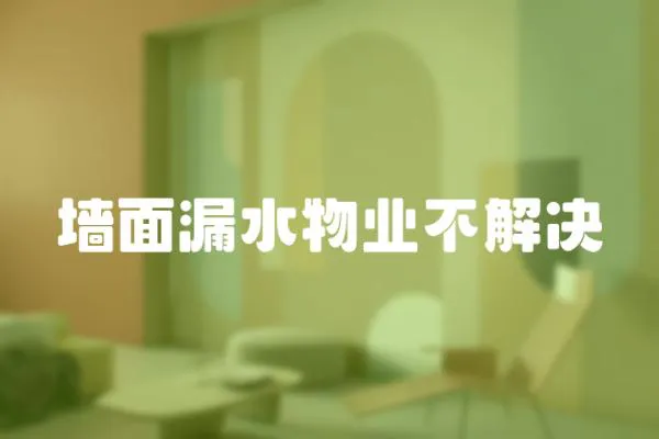 墻面漏水物業不解決