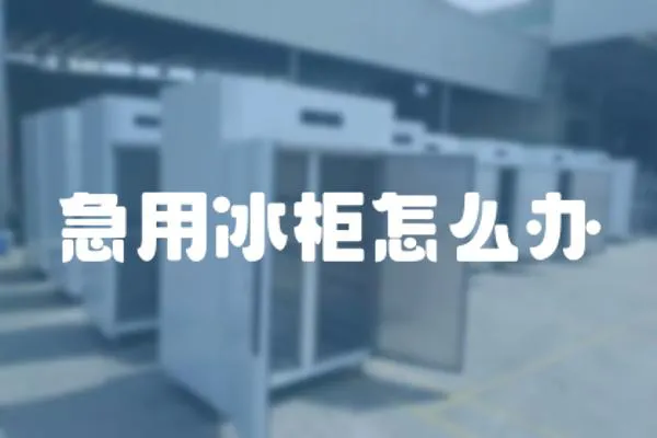 急用冰柜怎么辦